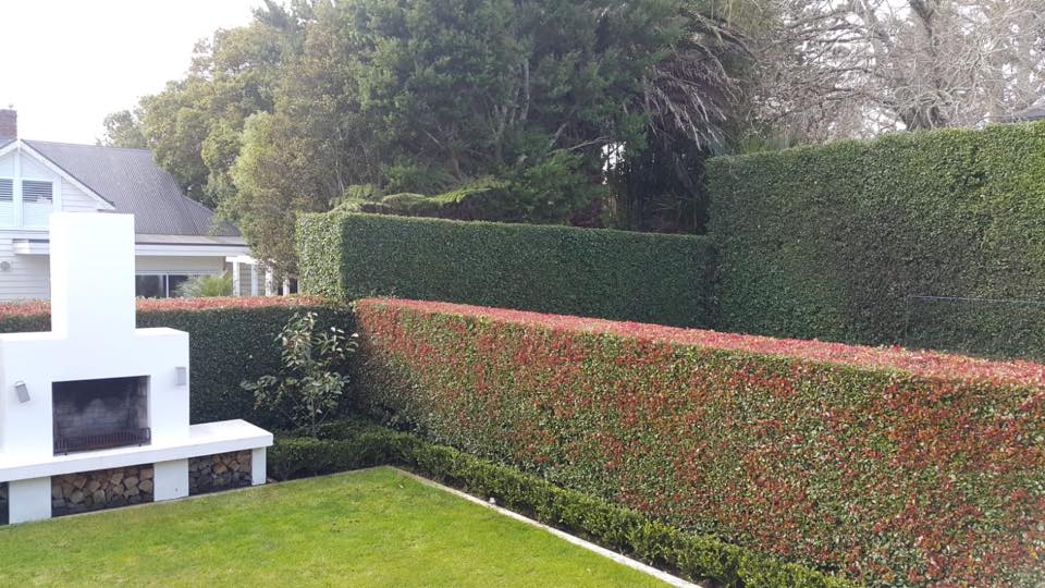 Finding the Best Landscaper In New Zealand: Top Tips For Making the Right Choice