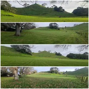 A1 Landscape Commercial Service