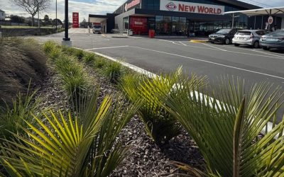 Strategic Commercial Planting: Elevate Your Business with Low-Maintenance Landscapes